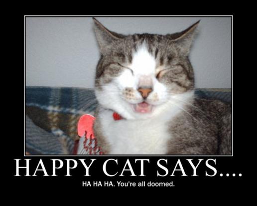 Funny Cat Pictures Happy Cat Says