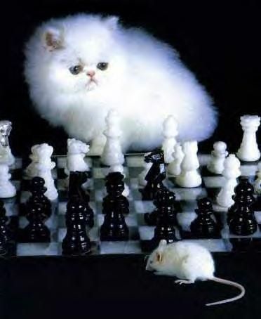 [عکس: funny_chess_picture_2.jpg]