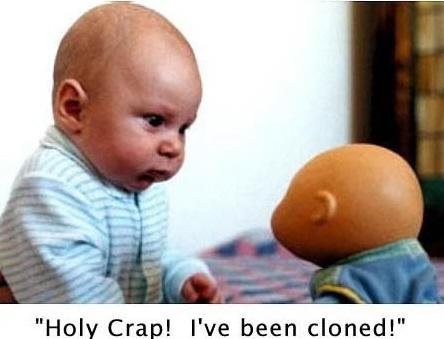 Funny Babies Images on Funny Baby Pictures    Holy Crap  I Have Been Cloned