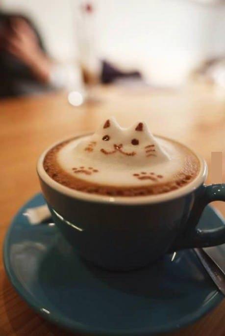 http://www.funnyjunksite.com/pictures/wp-content/uploads/2013/02/Kitty-Coffee.jpg