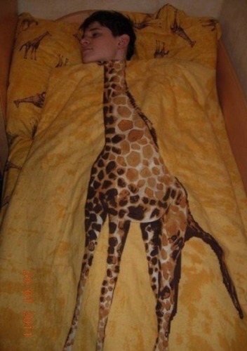 [عکس: Sleeping-Giraffe.jpg]