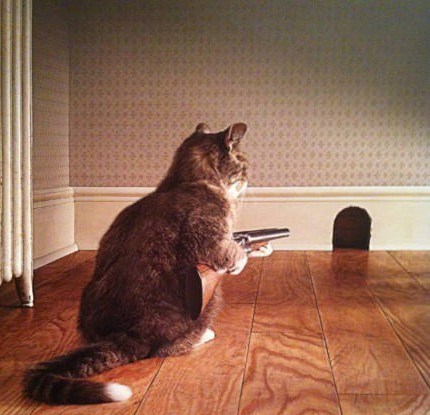 Tom Waiting For Jerry