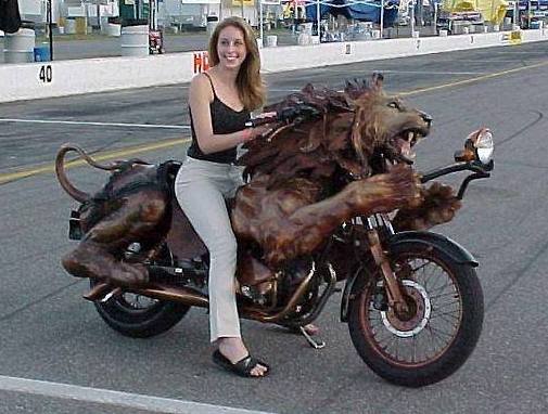 Lion Cycle