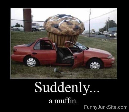 Suddenly.. A muffin