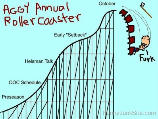 Image result for aggy annual roller coaster