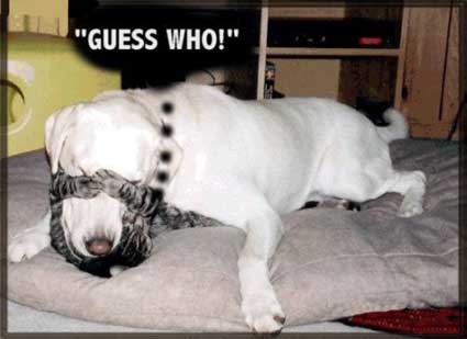 Guess Who!!
