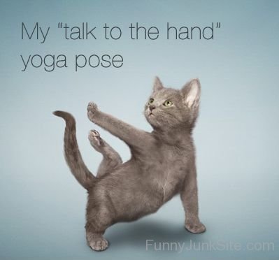 Cate Funny Yoga