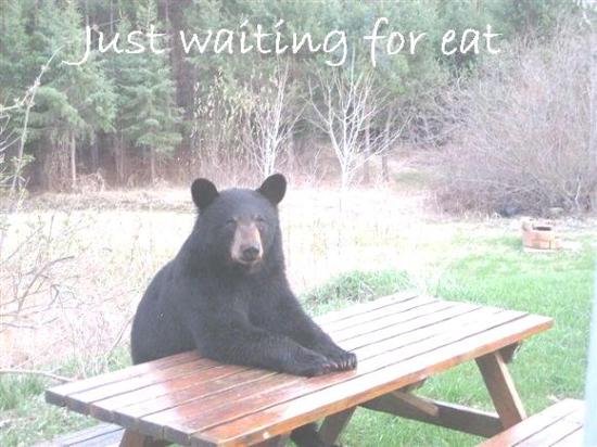 Waiting for my food