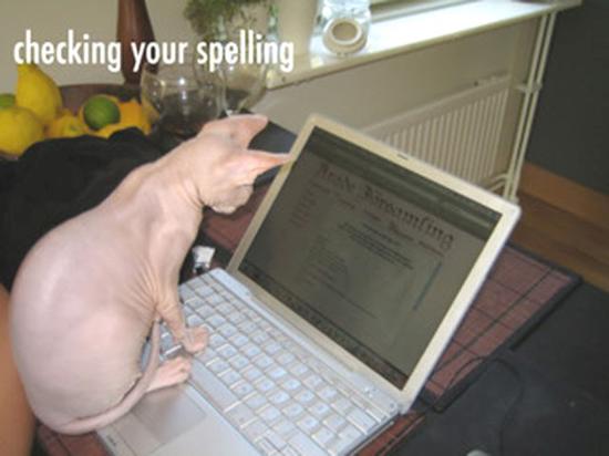 Checking your spellings