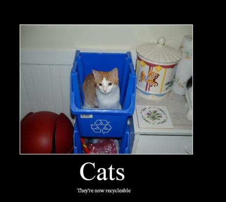Recyclable Cats