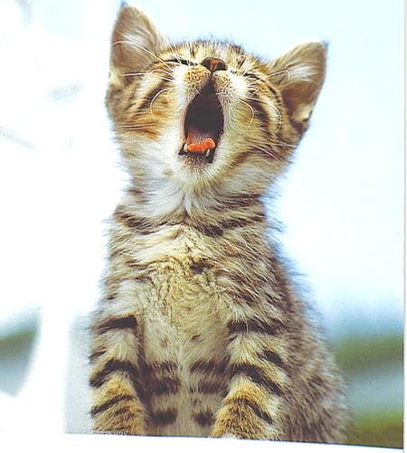 Yawning 