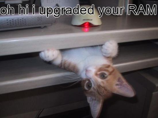 I Upgraded your RAM