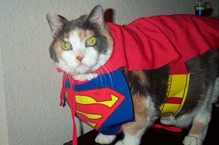 I am Supercat