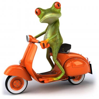 Frog On Ride