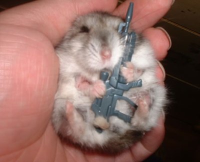 Fighter Hamster