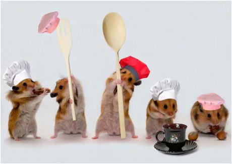 Hamster Chef Group