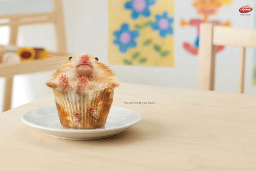 Tasty Hamster Cupcake