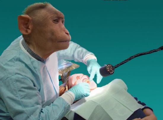 Dentist Monkey
