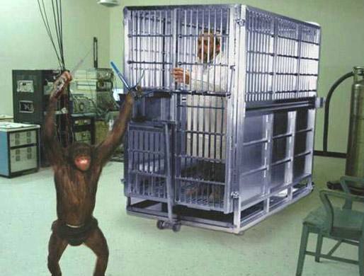 No More Experiments On Monkeys