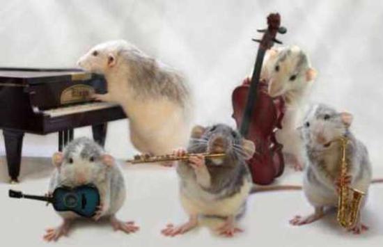Musical Group