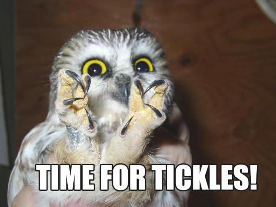 Time For Tickles