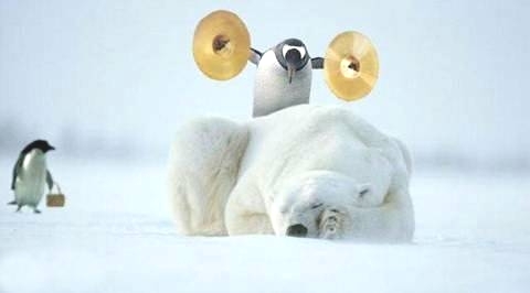 Good Morning Penguins
