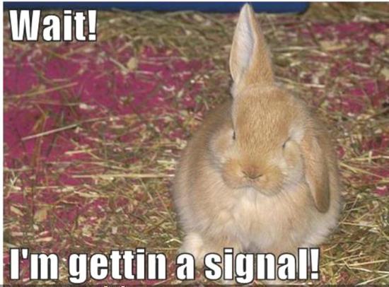 I Am Getting Signal
