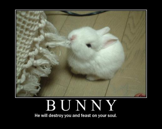 Bunny will destroy you