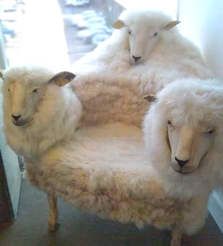 Sheep Sofa
