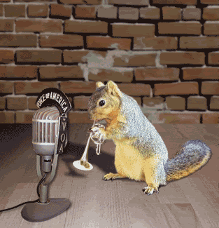 Musician Squirrel