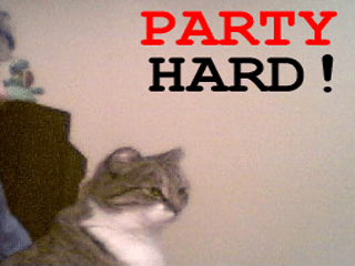 Party Hard - Owner not at home