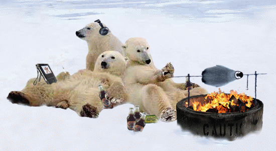 Polar bears on vacation