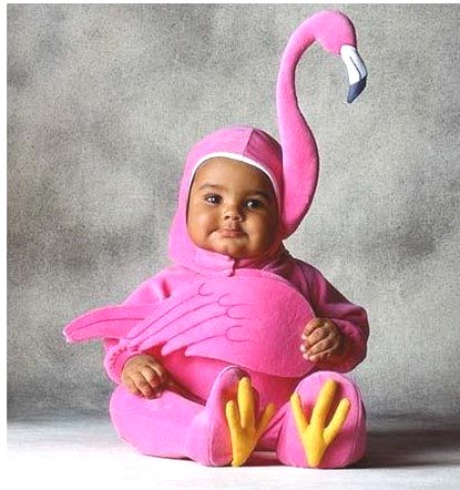 Pink Duck Baby