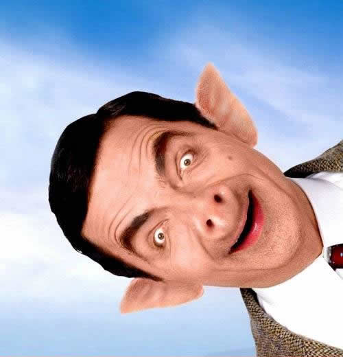 Funny Pic Of Mr.Bean