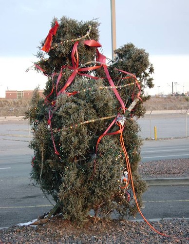 Christmas Tree After Recession