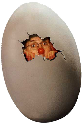 Hiding inside egg