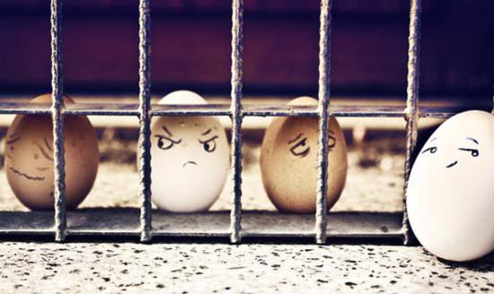 Prisoner Eggs