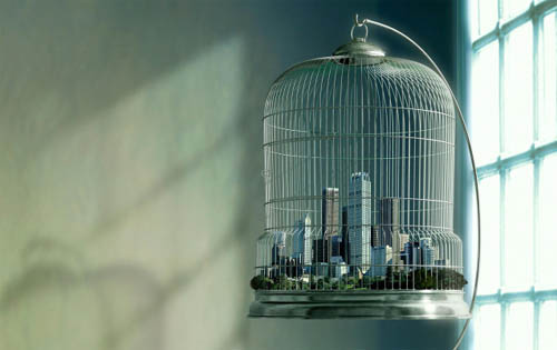 City In Cage