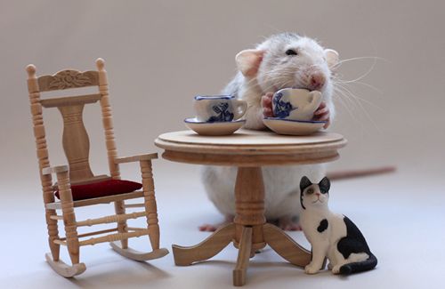 Tea Time Please