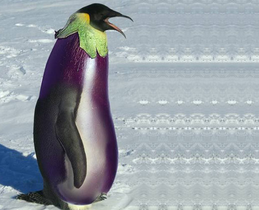 eggplant Penguin