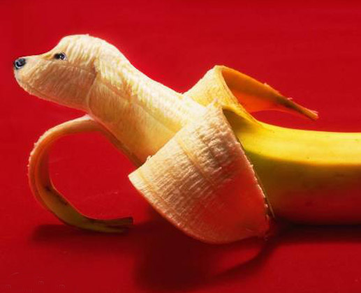 Creative Banana Design