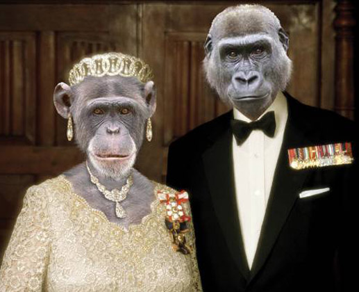 Royal Jungle Wedding