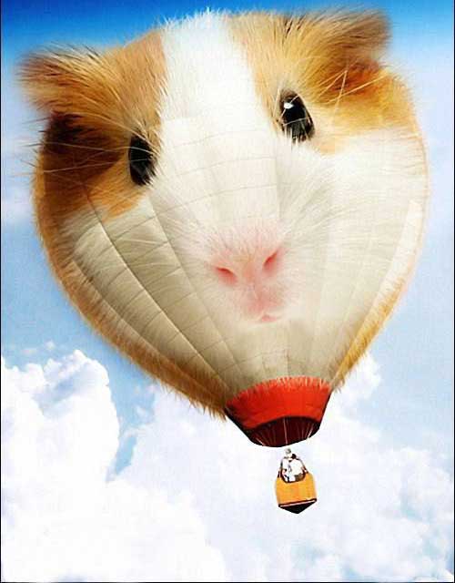 Flying mouse ballon