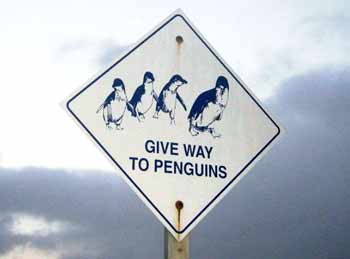 Give Way to Penguins