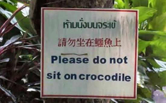Please do not sit on Crocodile
