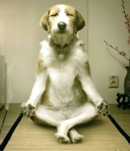 Doing Meditation 