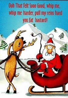 Funny-Christmas-Picture-6