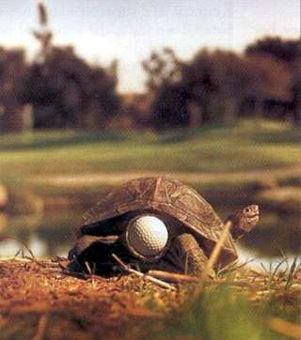 Funny-Golf-Pictures-01