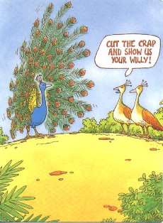 Funny Cartoon Pictures » Peacock Being Teased
