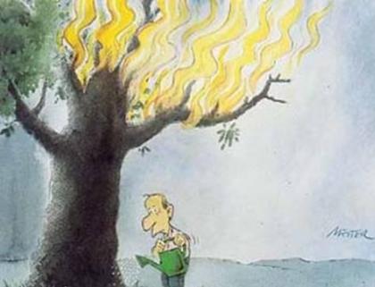 burning-tree-watering-cartoon